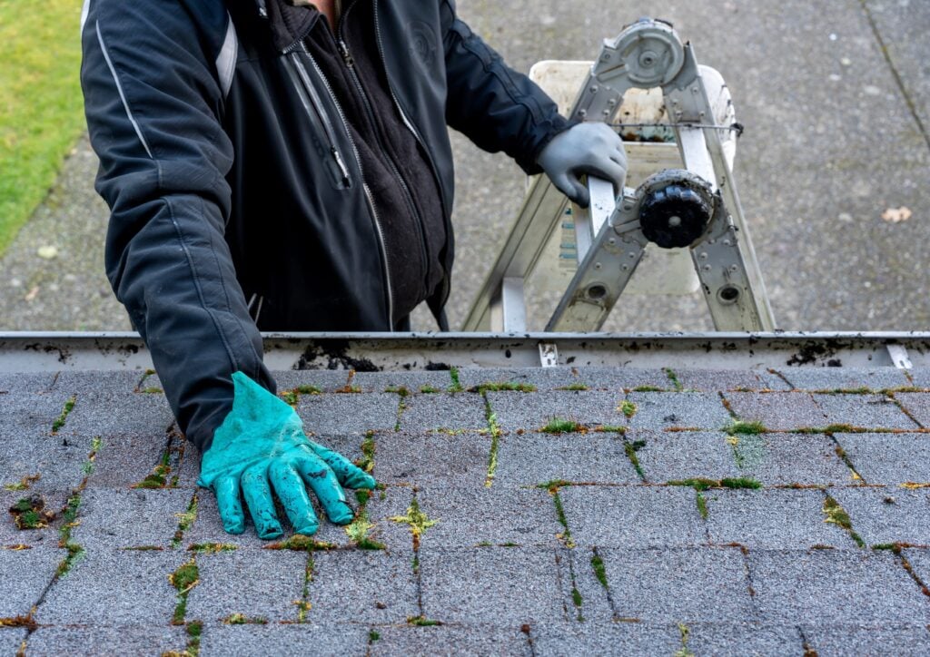 A person wearing a black jacket and blue glove cleans moss from roof shingles while standing on a ladder—a task often done after asking how long does a roof inspection take. The ladder is placed on a paved surface next to the house.