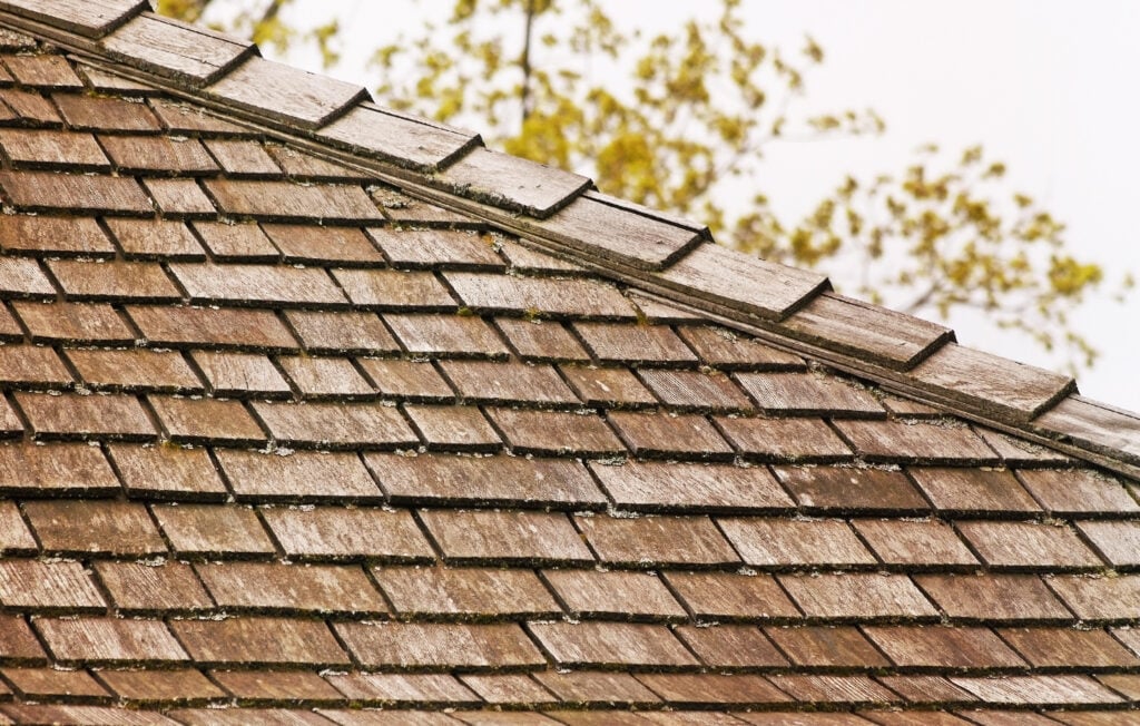 A close-up view of a weathered wooden shingle roof highlights overlapping rectangular shingles and patches in need of roof moss removal, with blurred green tree branches in the background.