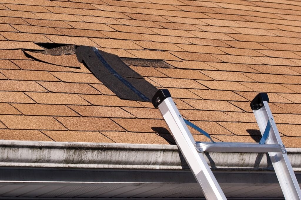 A ladder leans against the house, leading up to a roof with damaged brown shingles and a large hole—clearly in need of professional shingle roof repair. shingle roof repair