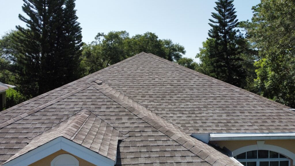 A close-up view of a house roof with brown shingles, surrounded by tall pine trees and greenery under a clear blue sky, highlights the quality craftsmanship ideal for shingle roof repair.